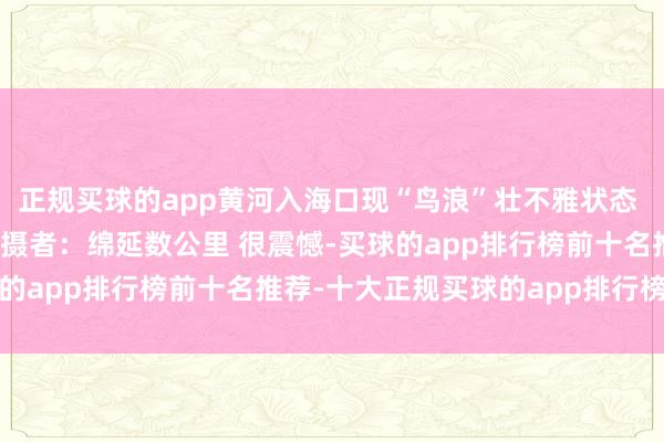 正规买球的app黄河入海口现“鸟浪”壮不雅状态 鸟群如巨鲸划过天外 拍摄者：绵延数公里 很震憾-买球的app排行榜前十名推荐-十大正规买球的app排行榜推荐