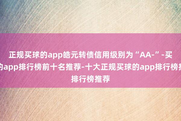 正规买球的app皓元转债信用级别为“AA-”-买球的app排行榜前十名推荐-十大正规买球的app排行榜推荐