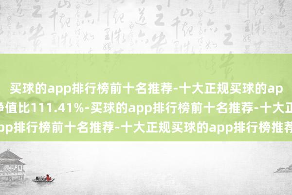 买球的app排行榜前十名推荐-十大正规买球的app排行榜推荐债券占净值比111.41%-买球的app排行榜前十名推荐-十大正规买球的app排行榜推荐
