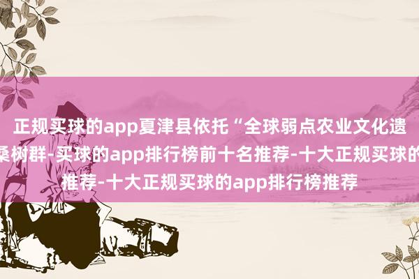 正规买球的app夏津县依托“全球弱点农业文化遗产”黄河故谈古桑树群-买球的app排行榜前十名推荐-十大正规买球的app排行榜推荐