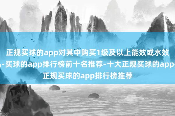 正规买球的app对其中购买1级及以上能效或水效圭臬的居品-买球的app排行榜前十名推荐-十大正规买球的app排行榜推荐