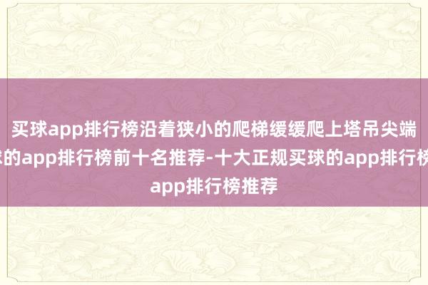 买球app排行榜沿着狭小的爬梯缓缓爬上塔吊尖端-买球的app排行榜前十名推荐-十大正规买球的app排行榜推荐