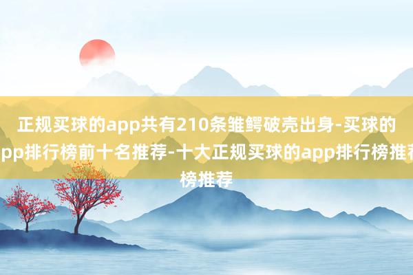 正规买球的app共有210条雏鳄破壳出身-买球的app排行榜前十名推荐-十大正规买球的app排行榜推荐
