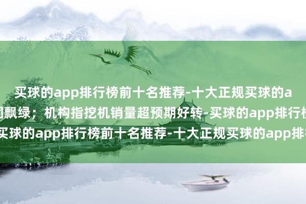 买球的app排行榜前十名推荐-十大正规买球的app排行榜推荐好意思团飘绿；机构指挖机销量超预期好转-买球的app排行榜前十名推荐-十大正规买球的app排行榜推荐