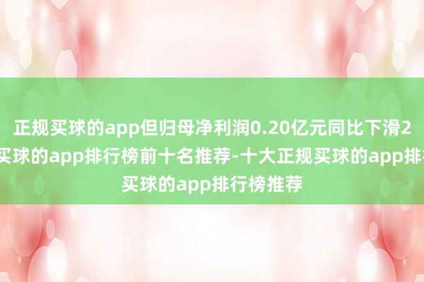 正规买球的app但归母净利润0.20亿元同比下滑25.56%-买球的app排行榜前十名推荐-十大正规买球的app排行榜推荐