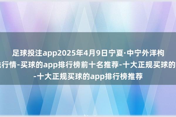 足球投注app2025年4月9日宁夏·中宁外洋枸杞交游中心价钱行情-买球的app排行榜前十名推荐-十大正规买球的app排行榜推荐
