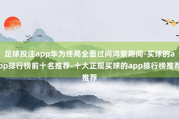 足球投注app华为终局全面过问鸿蒙期间-买球的app排行榜前十名推荐-十大正规买球的app排行榜推荐