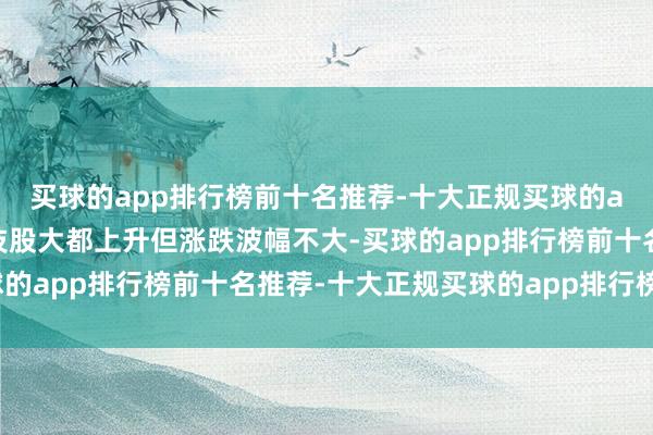 买球的app排行榜前十名推荐-十大正规买球的app排行榜推荐大型科技股大都上升但涨跌波幅不大-买球的app排行榜前十名推荐-十大正规买球的app排行榜推荐