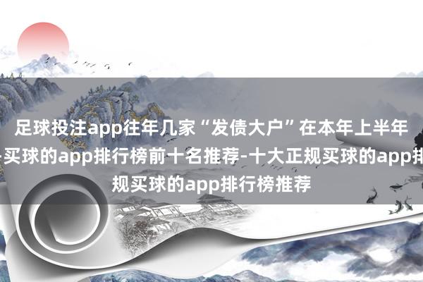 足球投注app往年几家“发债大户”在本年上半年更是缺席-买球的app排行榜前十名推荐-十大正规买球的app排行榜推荐