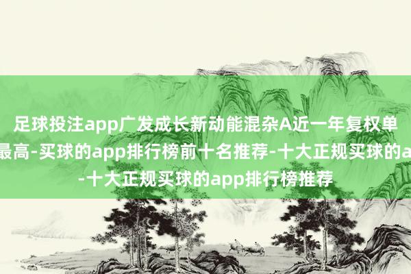 足球投注app广发成长新动能混杂A近一年复权单元净值增长率最高-买球的app排行榜前十名推荐-十大正规买球的app排行榜推荐