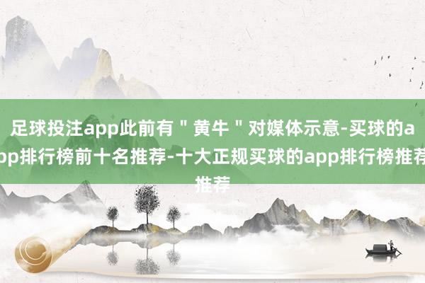 足球投注app此前有＂黄牛＂对媒体示意-买球的app排行榜前十名推荐-十大正规买球的app排行榜推荐