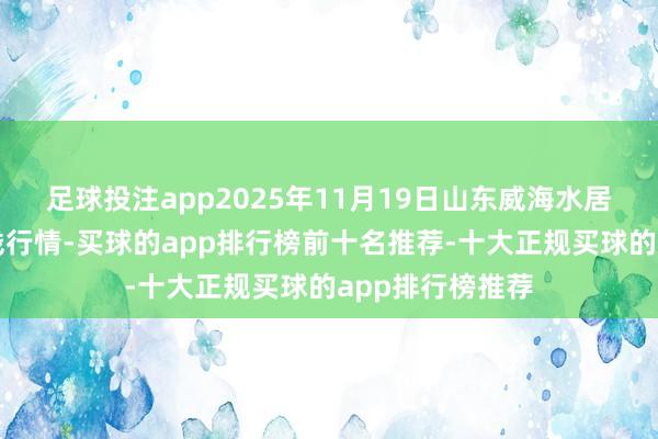 足球投注app2025年11月19日山东威海水居品批发商场价钱行情-买球的app排行榜前十名推荐-十大正规买球的app排行榜推荐