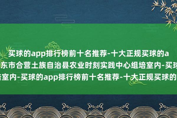 买球的app排行榜前十名推荐-十大正规买球的app排行榜推荐青海省海东市合营土族自治县农业时刻实践中心组培室内-买球的app排行榜前十名推荐-十大正规买球的app排行榜推荐