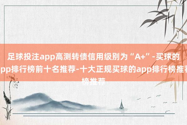 足球投注app高测转债信用级别为“A+”-买球的app排行榜前十名推荐-十大正规买球的app排行榜推荐