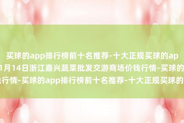 买球的app排行榜前十名推荐-十大正规买球的app排行榜推荐2024年11月14日浙江嘉兴蔬菜批发交游商场价钱行情-买球的app排行榜前十名推荐-十大正规买球的app排行榜推荐