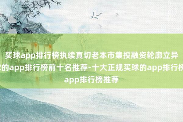 买球app排行榜执续真切老本市集投融资轮廓立异-买球的app排行榜前十名推荐-十大正规买球的app排行榜推荐