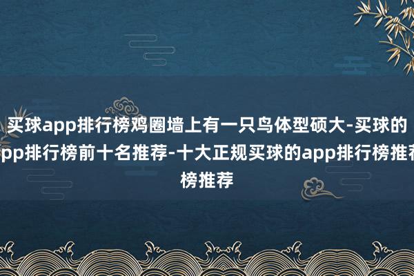 买球app排行榜鸡圈墙上有一只鸟体型硕大-买球的app排行榜前十名推荐-十大正规买球的app排行榜推荐