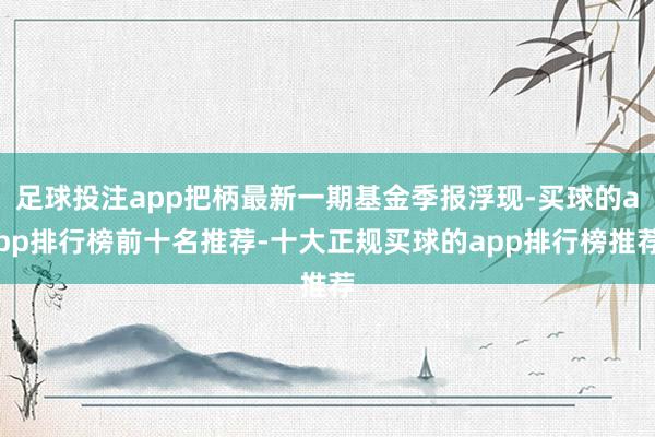 足球投注app把柄最新一期基金季报浮现-买球的app排行榜前十名推荐-十大正规买球的app排行榜推荐